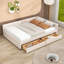 Upholstered Daybed with Built-in USB Ports and 2 Storage Drawers-106490990