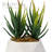6.25" Artificial Aloe Succulent in Vase