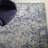 Dorothea Oriental Indoor Rug-1572174513