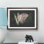 Beauty Of A Butterfly Paint Splash - Picture Frame Graphic Art-56866301-56866308