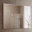 Neponset Glass Flat Wall Mirror