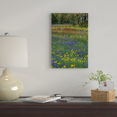 " Sand Bluebonnet, Drummond's Phlox And Tickseed, Fort Parker State Park, Texas II " by Tim Fitzharris