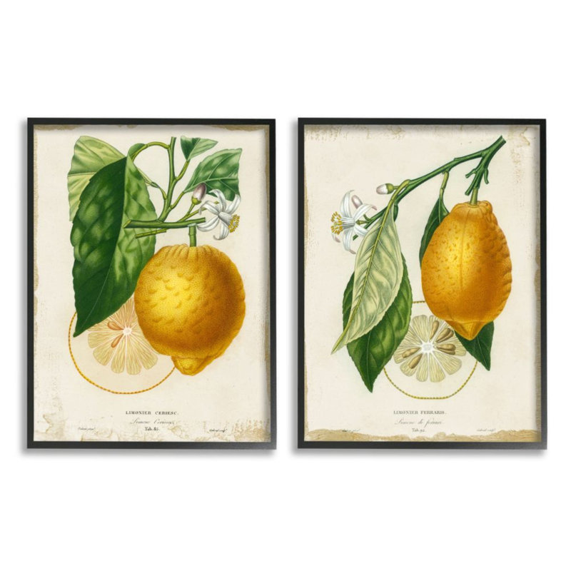 Branche de citron floral avec écriture française - ensemble de 2 impressions, Giclée encadrée noir minuit, H 14 po x l 11 po