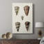 Collection Cone Shell III - Cavas enveloppés de galerie-108824499