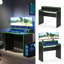 Adepoju Computer Desk-355215338