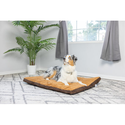 Coussin pour chien moka