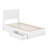 Lamaiyah Solid Wood Platform Bed with Footboard and Storage Drawers-394844265-394844264