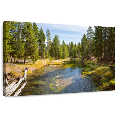 Alvord Yellowstone River Pines