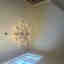Photos des clients 3 de 3