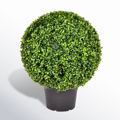 Artificial Green Boxwood Ball.