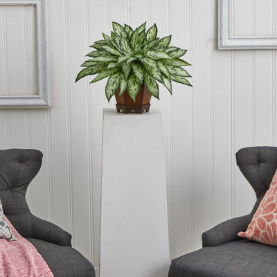 14'' Faux Foliage Plant in Wood Decorative Vase