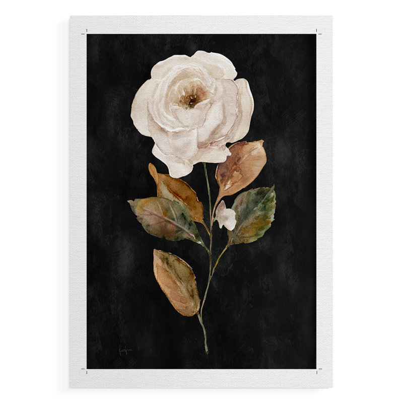 Botanical on Black Wash II - Impression sur toile seulement - NON-CADRE, H 48 po x l 32 po