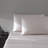 Vera Wang T800 Sateen Solid CVC Sheet Set-60230081-50857667