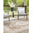 Oriental Machine Woven Polypropylene Indoor / Outdoor Area Rug in Natural-1847715479