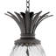 Plantation Outdoor 4-Light Novelty Pendant