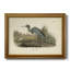 Audubons Blue Heron - peinture sur toile encadrée-61853039