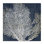 «Sea Coral Ocean Life Silhouette Blue White», impression
