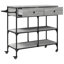 Northport Metal Bar Cart