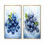 Ballet Blue Berry Ballet Fruit - fruits, ensemble de 2 reproductions d'art mural-1677172922-1677172927