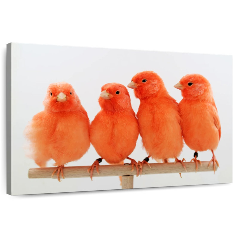 Brampt Red Canaries, 20" H x 30" W