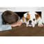Plancher en chêne dur imperméable 6-1 / 2 po Water imperméable Reservoir Series-965840662