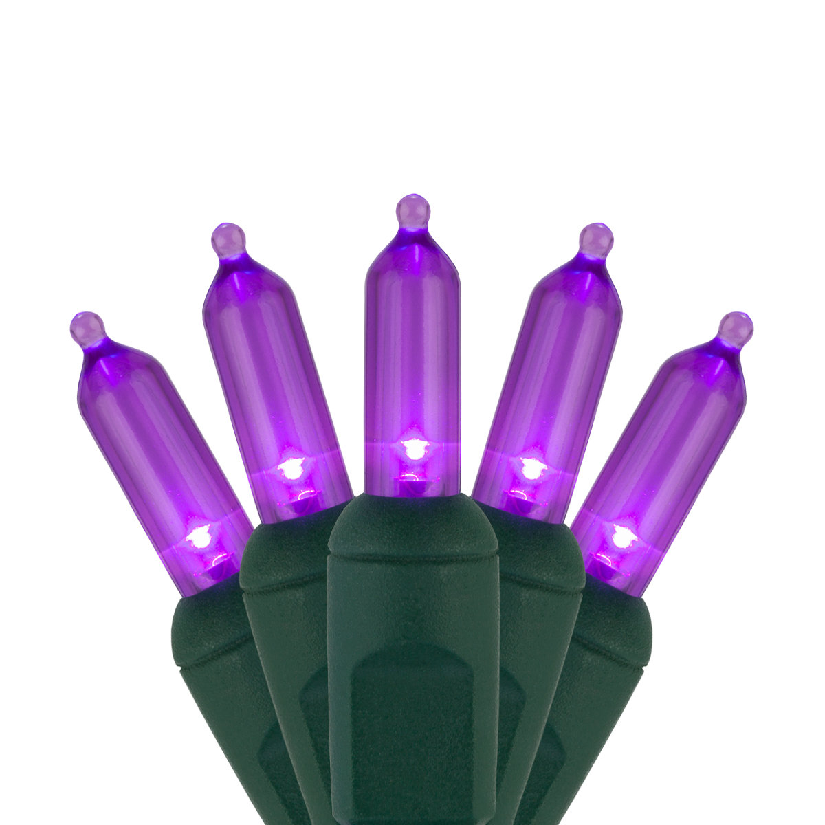 25.5' Steady LED String Lights, Purple