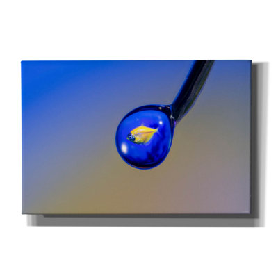 «Glofish In A Drop 5» par Gordon Semmens, art mural sur toile, 18 po x 12 po