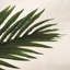 Palmier artificiel 6 pi avec pot pour décoration intérieure-1600527587