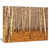 Toile tendue
