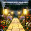 Lampes solaires d'extérieur pour allées, jardins, cours, allées, pelouses, parterres de fleurs, allées de garage, patios, trottoirs et porches (lot de 8)