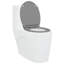 Anthracite Plastic Standard Adjustable Armrests Toilet Seat-1215608313