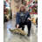 Walking Baby Crocodile Life Size Statue