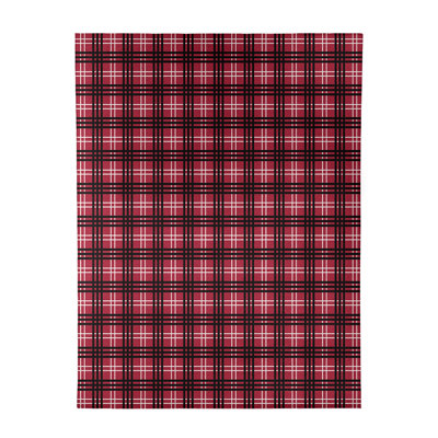 Plaid Indoor Rug
