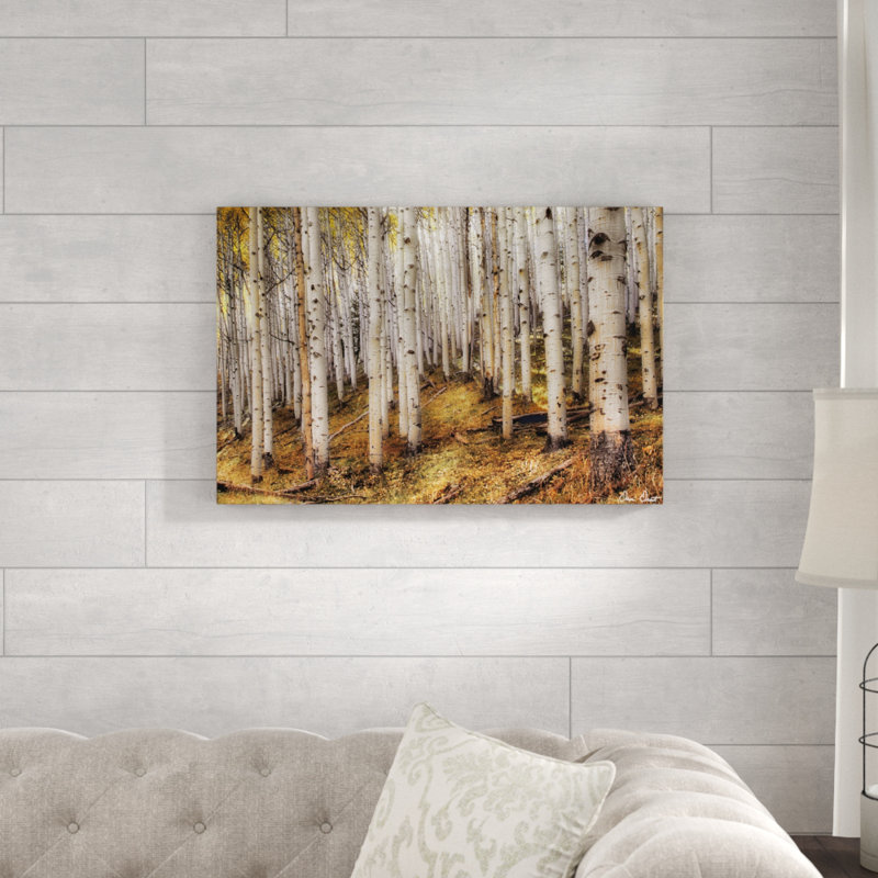 «Aspen Woods», photographie sur toile, H 20 po x l 30 po