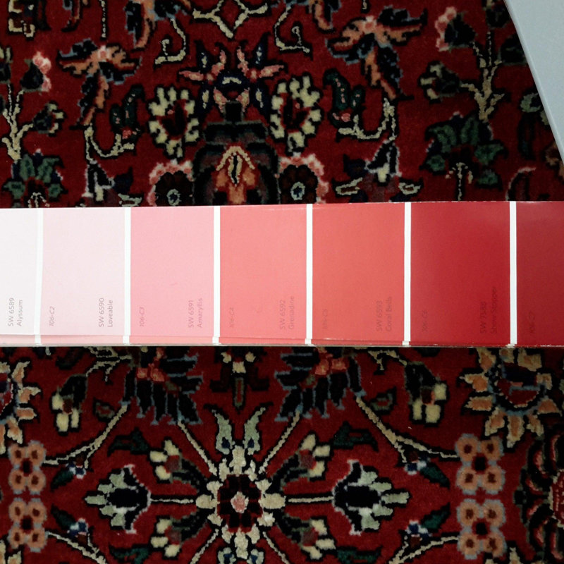 Ovaline Oriental Area Rug in Red