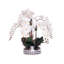 Orchid Faux Floral Arrangement