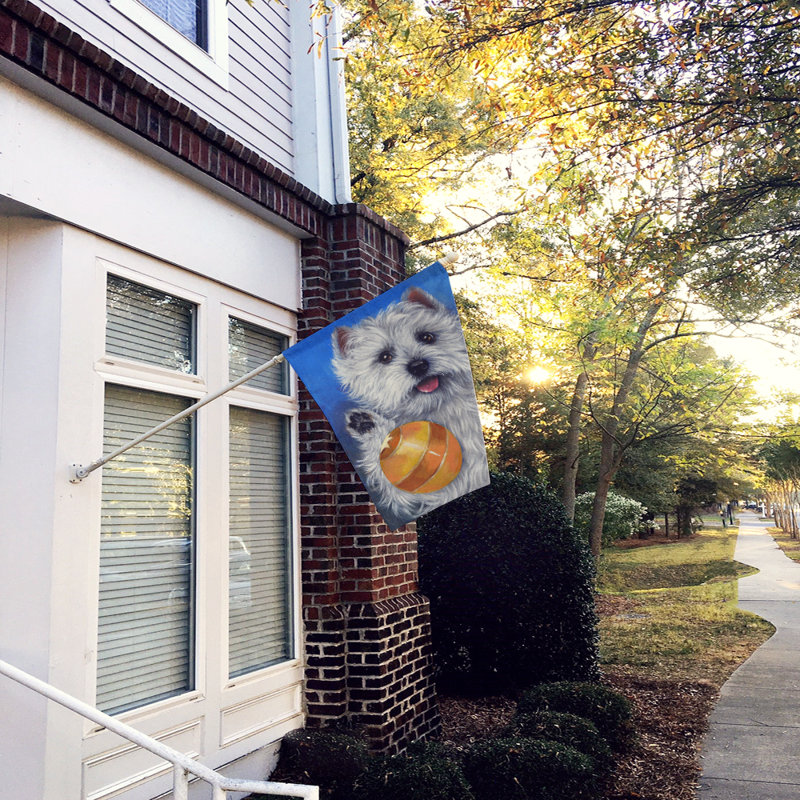 Drapeau de maison Hvidovre Sheltie Halloween en polyester à 2 faces 3 x 2 pi, Westie balle de jeu