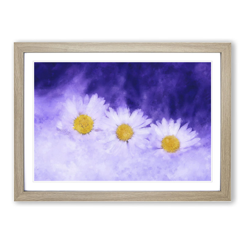 Three White Daisies - Picture Frame Graphic Art, 27cm H x 36cm W x 2cm D, Oak