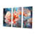 Toile tendue