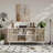 Mid-Century Storage Sideboard With Sliding Door