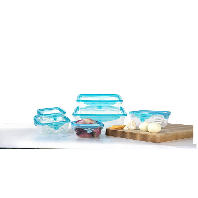 Stretch & Fresh Clear Plastic Food Storage Container Set