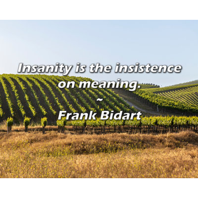 Citation de Frank Bidart: La folie est l'insistance sur le sens.