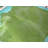 Dyed Green Real Cowhide Rug