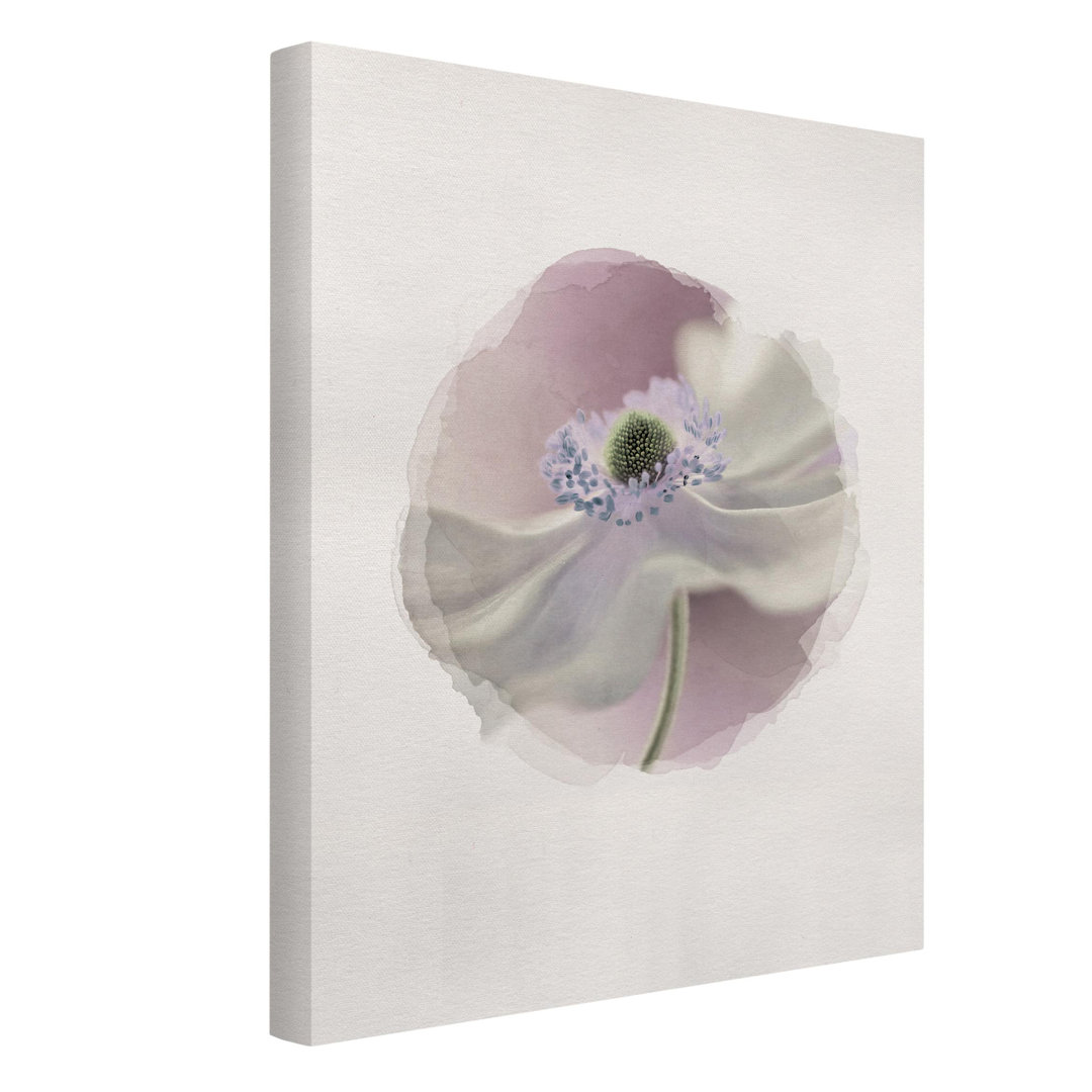 Leinwandbild Watercolor - Anemone Breeze