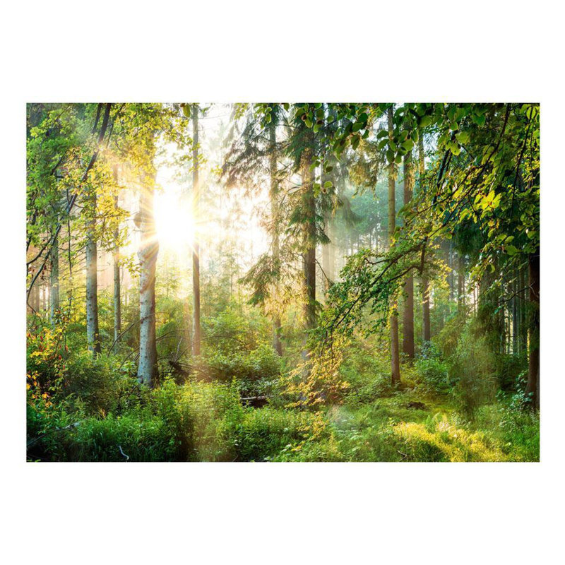 Murale nature sauvage Fiaz, L 110 po x l 154 po