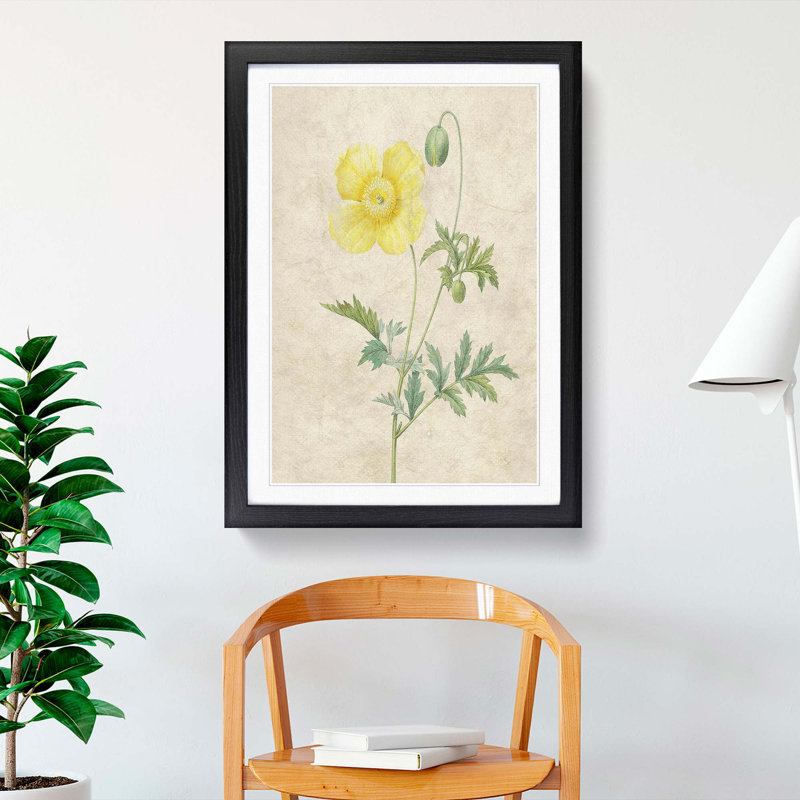 Welse Poppy in Yellow by Pierre-Joseph Redoute - Picture Frame Painting Print, 36cm H x 27cm W x 2cm D, Black Framed