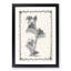 Ivy Marginata by Shirley Hibberd - Framed Print-55770415-55770416