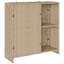 Rattan Accent Cabinet-14279691