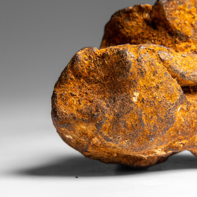 Véritable météorite Gebel Kamil d'Egypte (360 grammes)