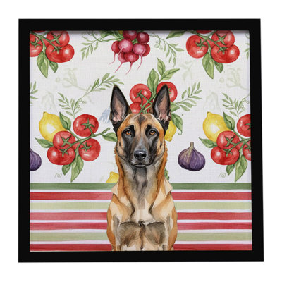 Belgian Malinois Vegetables Framed Metal Print
